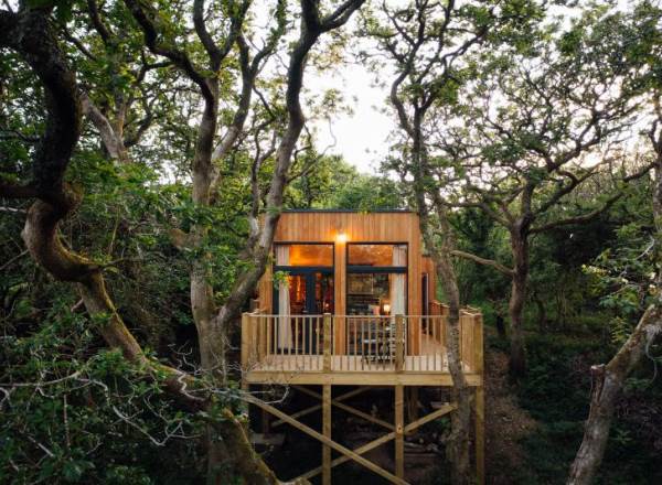 Wrinklers Wood Glamping | Availability